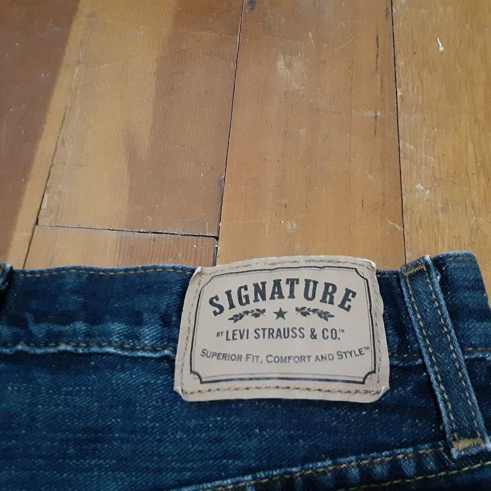 Levi Signature Men's Jeans